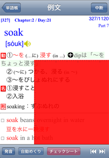 例文表示
